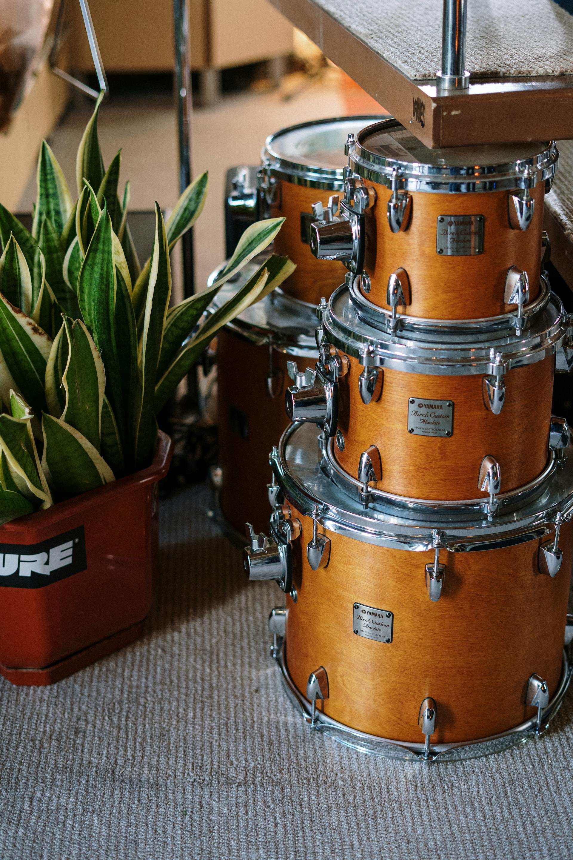 Acoustic Drum Set - Pearl Export
